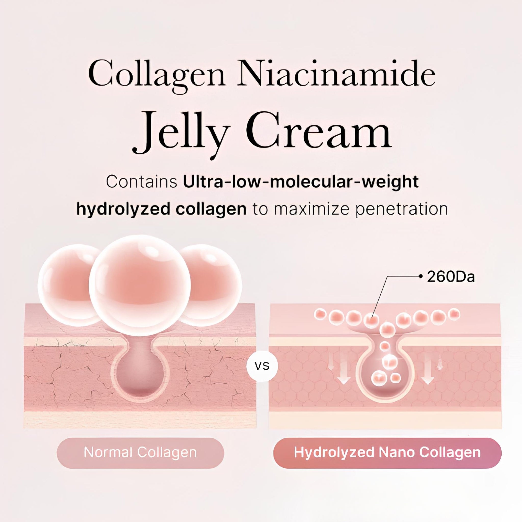 Collagen Jelly Cream [110ml]